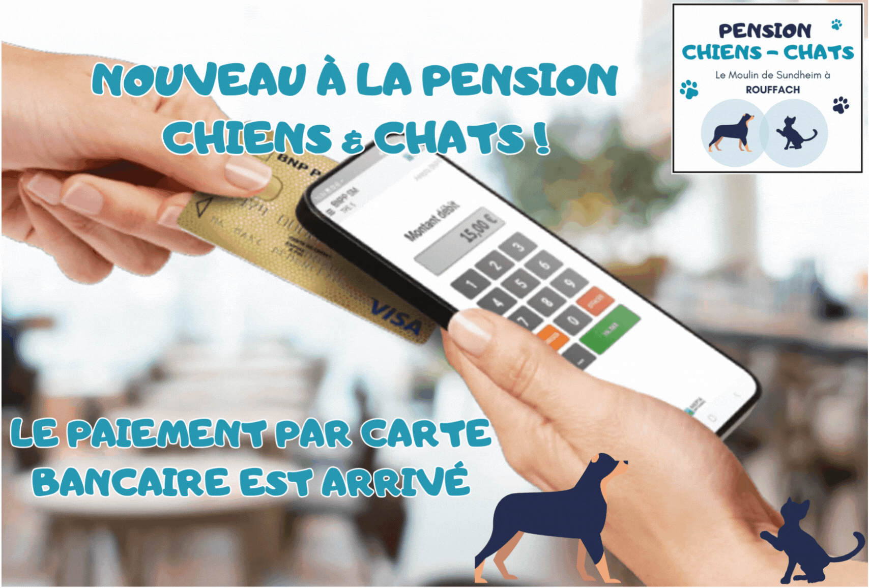 nouveau la pension chiens chats 2