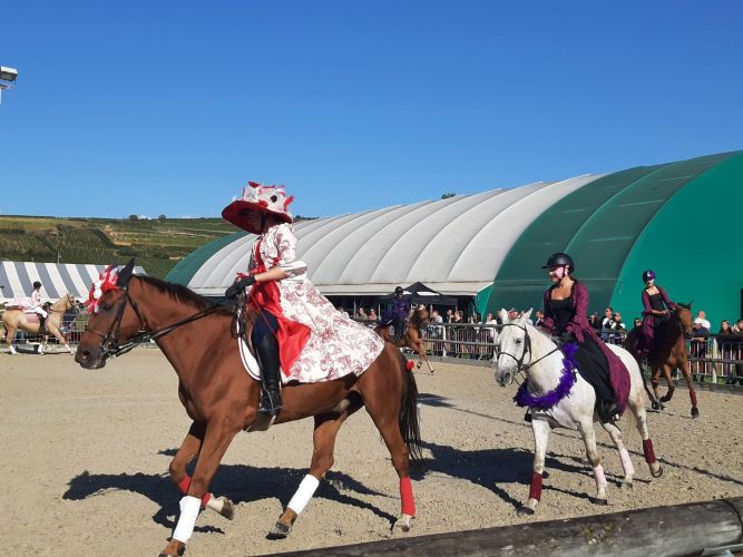 Fête du cheval : Centre Equestre